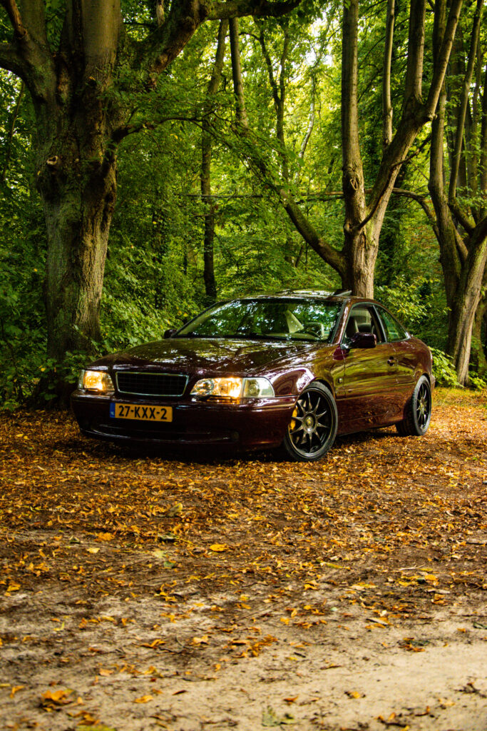 IMG 8411 TIF 683x1024